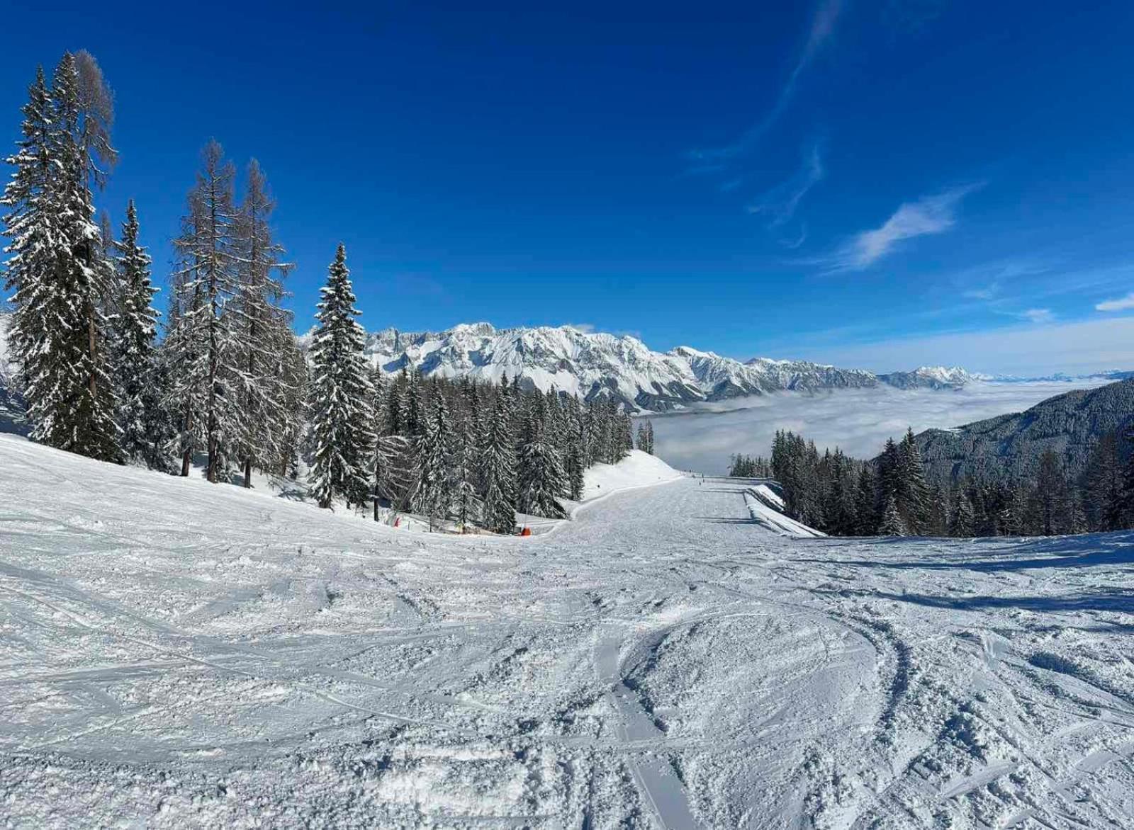 Appartements By Chalet Reiteralm -Sommercard Schladming Eksteriør bilde
