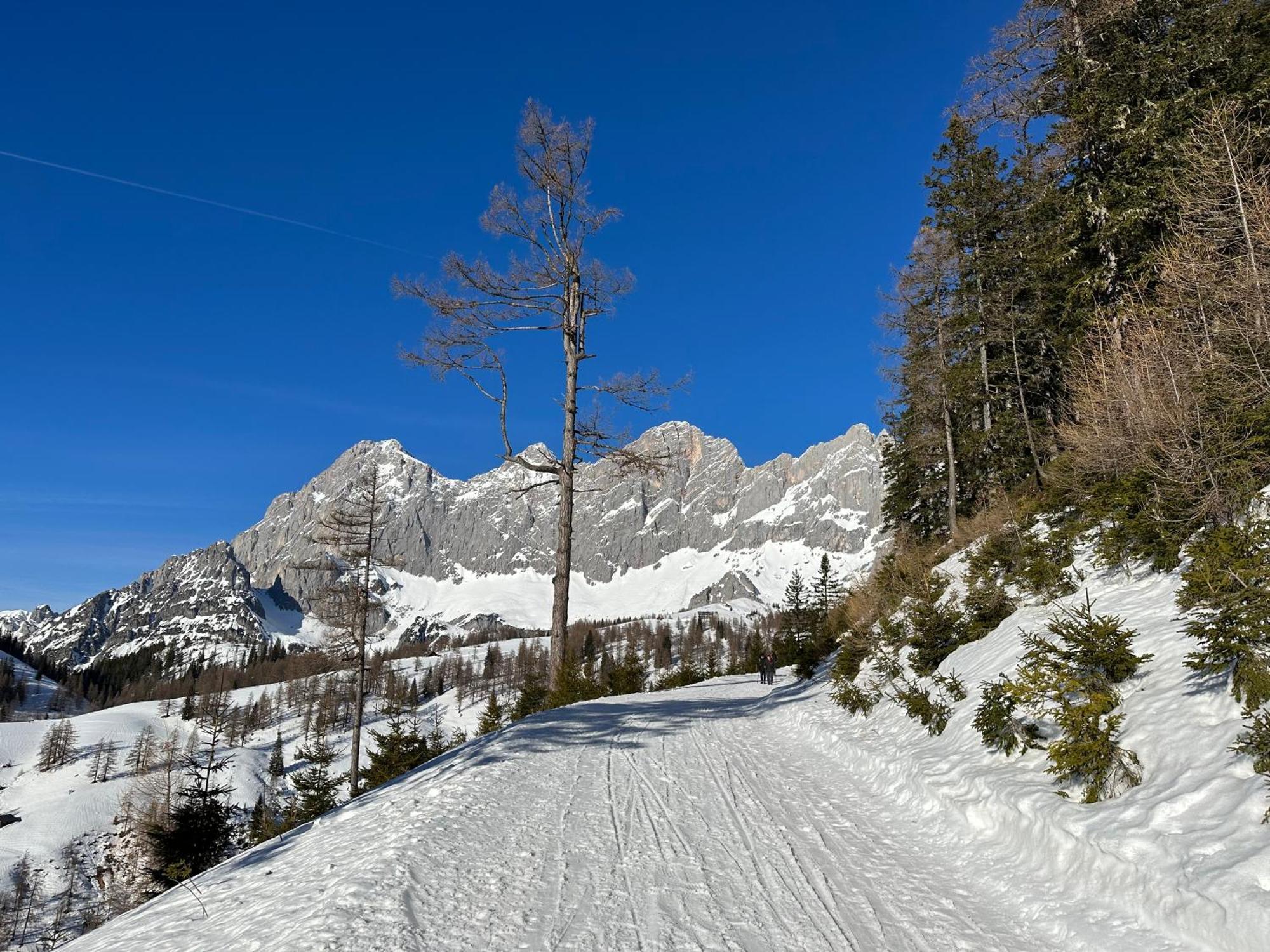 Appartements By Chalet Reiteralm -Sommercard Schladming Eksteriør bilde